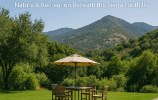Outdoor patio seating with umbrella on a green lawn in Three Rivers, CA, with forested hills and the Sierra Foothills in the background.